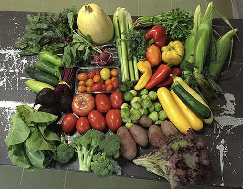 Large Vegetable Share