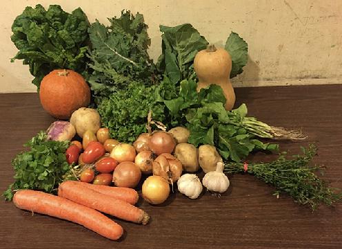 Large Vegetable Share