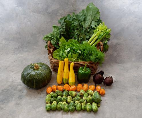 Small Vegetable Share